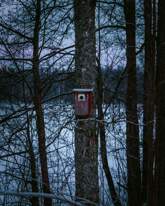 a birdhouse in the middle of trees on a winter day