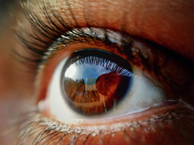 a close up of an eye with long eyelashes