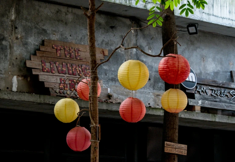 four paper lanterns hang from a tree on the outside