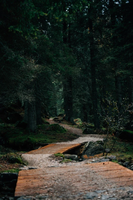 a wooden walkway with some trees and rocks