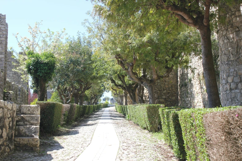 a cobblestone road in a scenic setting