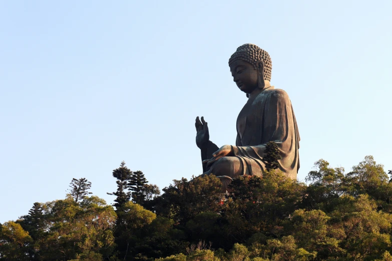 a large statue of buddha sitting in a forest
