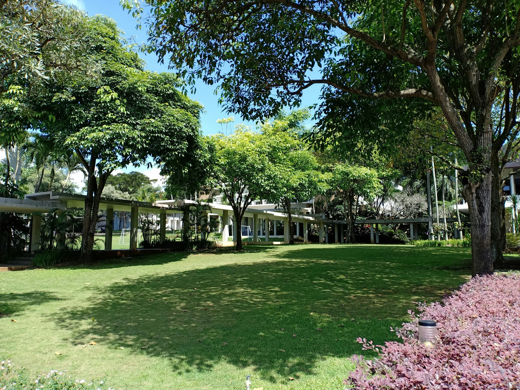 a grassy area with trees and a picnic area