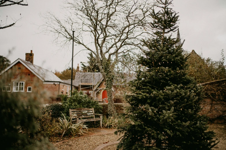 trees and bushes are in the foreground, with a brick building behind