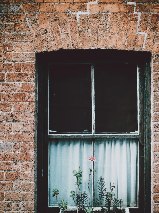 an empty window with plants in it