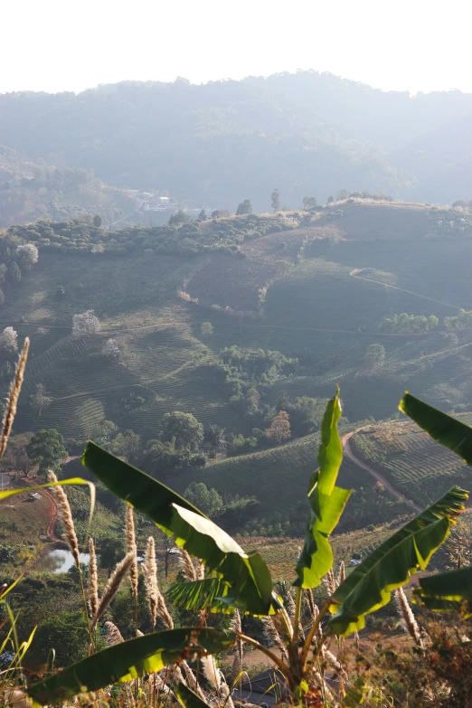 green fields in the distance, surrounded by mountains