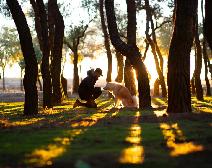 a man and his dog playing in the sunlight