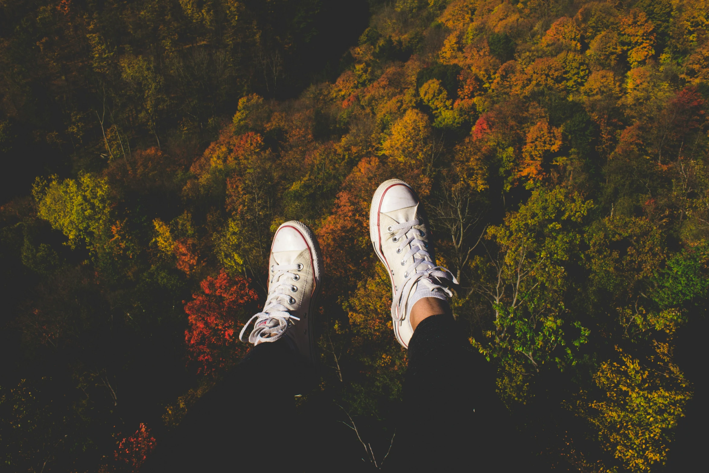 an aerial view of two pairs of white shoes with fall colored trees and foliage in the background