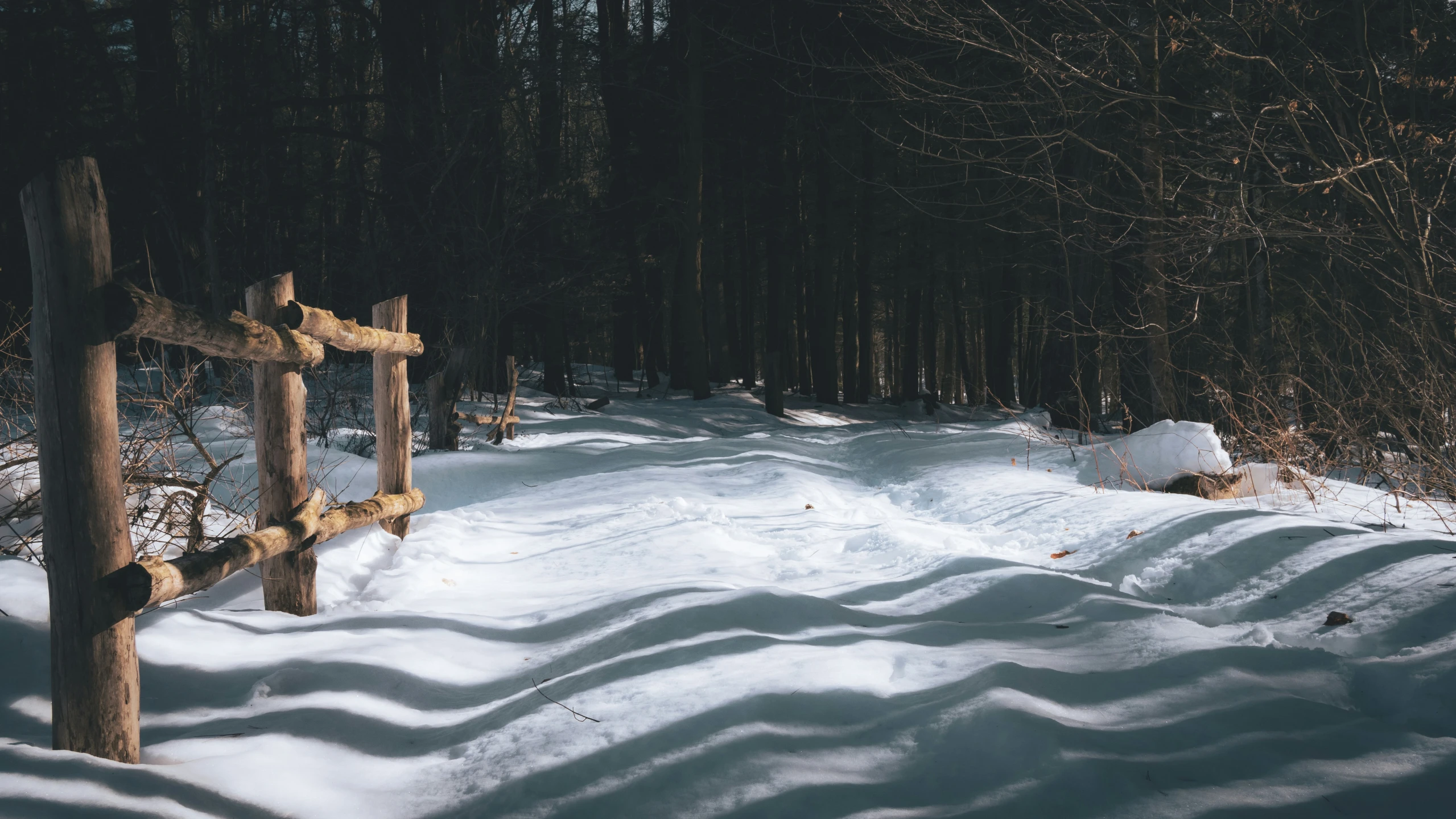 a fence is sitting in the snow with woods in the background