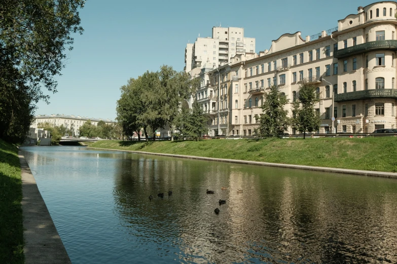 a river that has ducks swimming around it