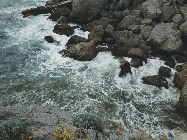 a bird is standing by the rocks near the ocean