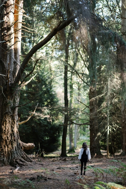 a person walking in the woods near some trees