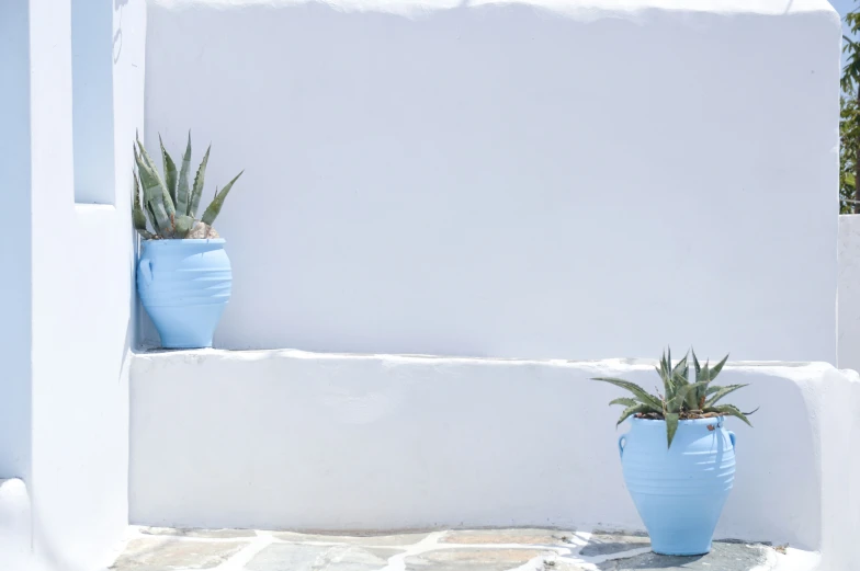 two pots holding plants and a wall