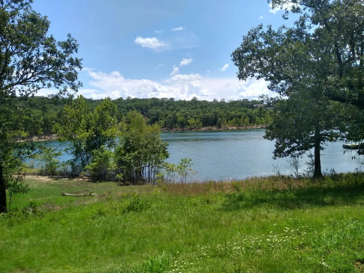 an empty grassy area near a lake with trees on the shore