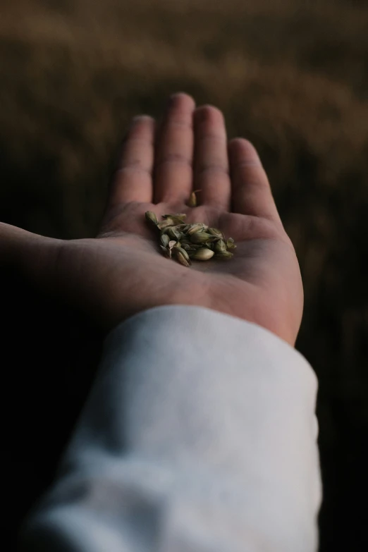 someone is holding their hand out in front of a handful of seed