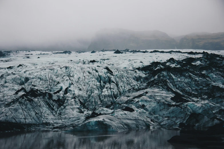 snow covered rocks and plants on the side of a body of water