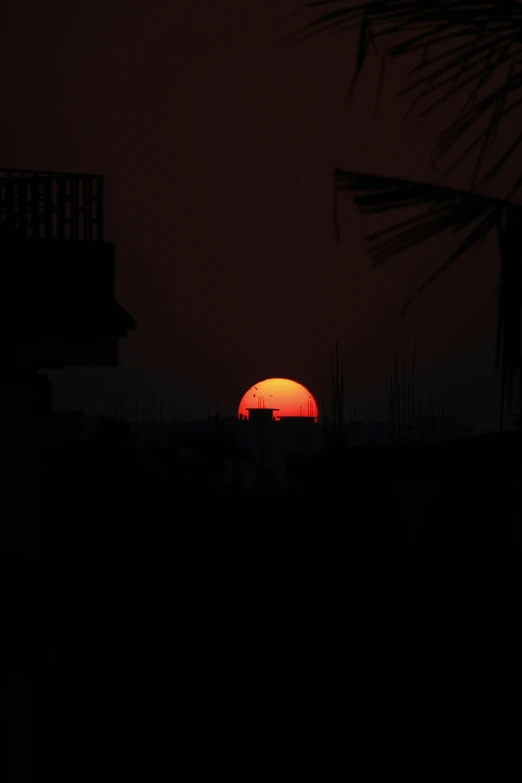 the sun setting over a city behind a palm tree