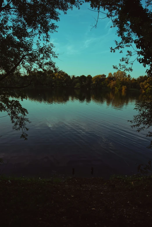 a body of water near a forest covered with trees