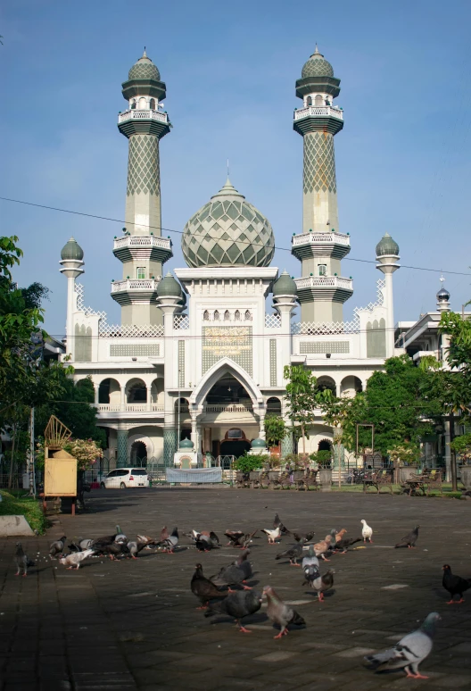 many birds are gathered around outside a building