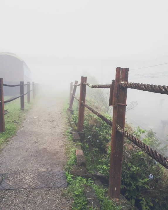 a path leads through a mist covered field