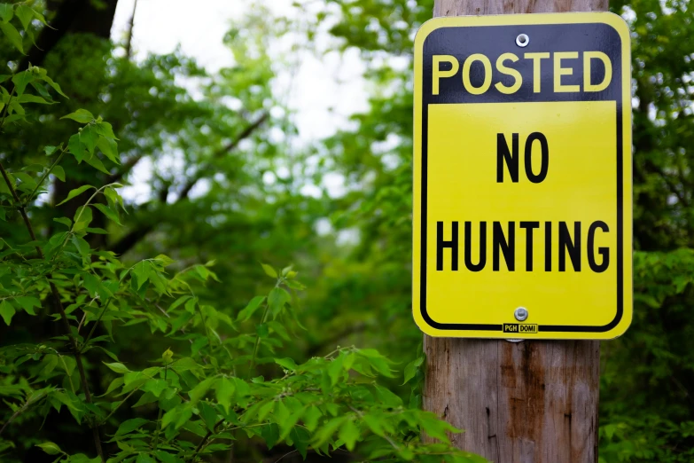 a yellow sign hanging from the side of a wooden pole