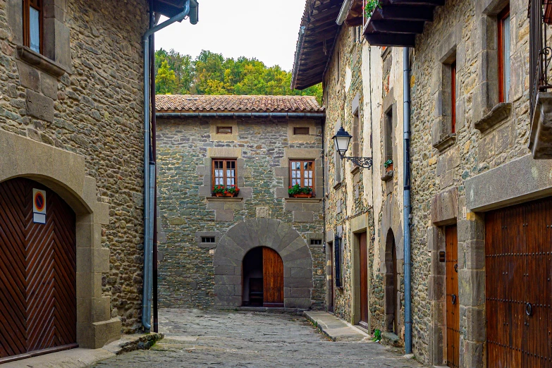 the cobblestone street in the old village is lined with houses