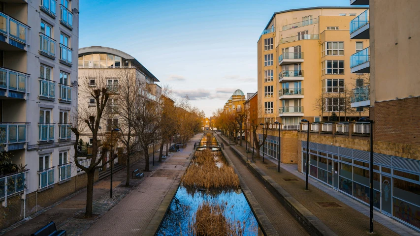 a city street with a blue canal and trees on the other side