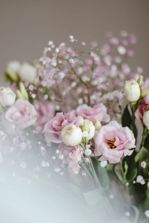 a picture of a bunch of pink and white flowers