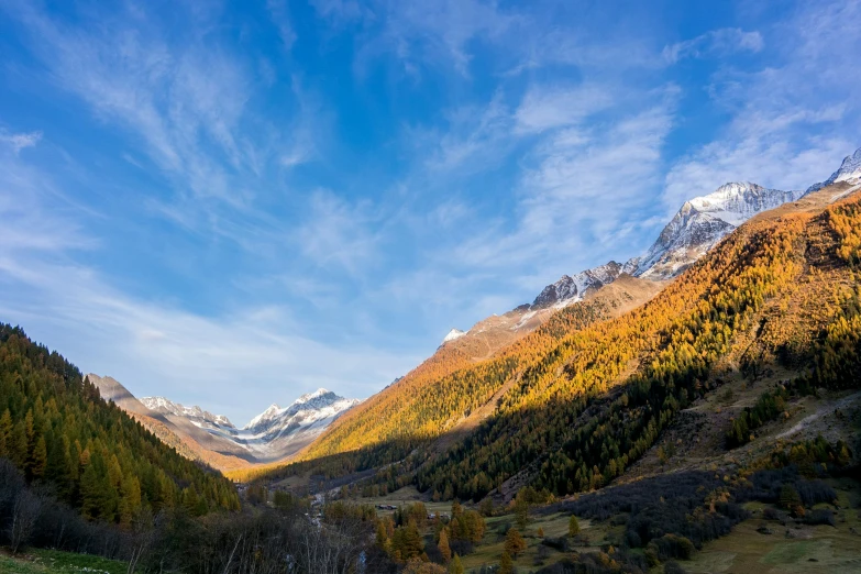 a scenic s of mountains with trees below