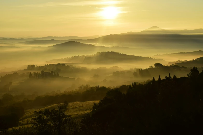 misty sunset above the rolling hills with trees