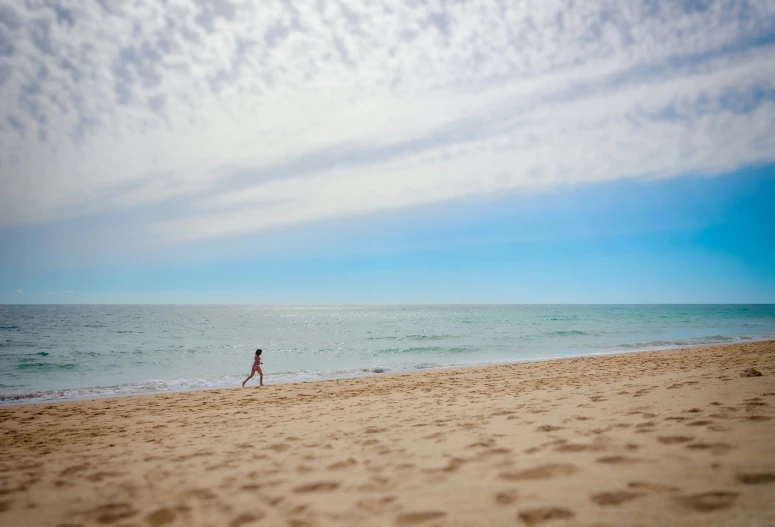 a man is standing on the beach as a dog walks by