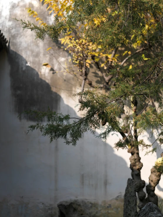 there is a cat sleeping on a bench under the tree