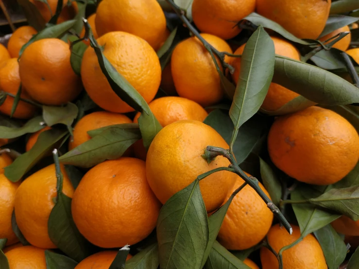 the large pile of ripe oranges has green stems