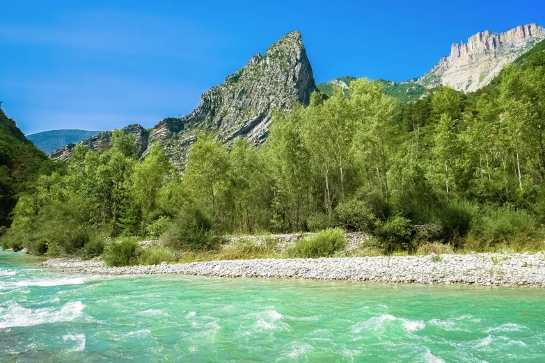 the mountain river is flowing among the trees