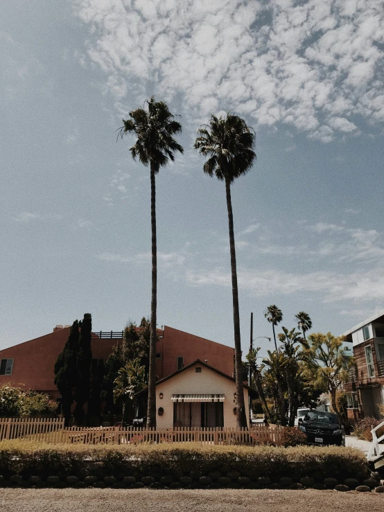 a large brown building and some palm trees