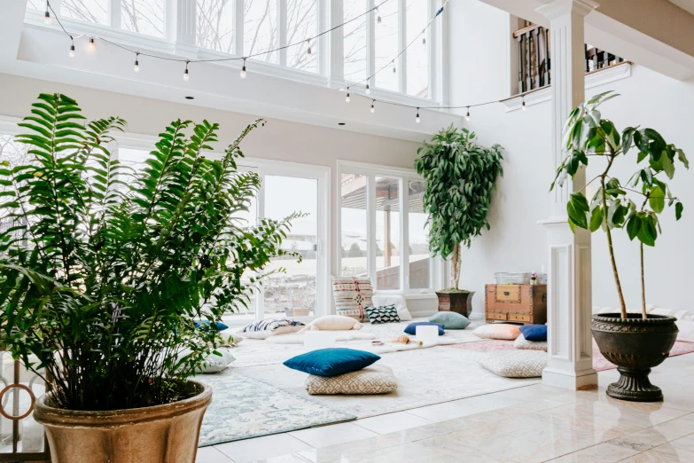 a large living room with a tree, sofa and two potted plants