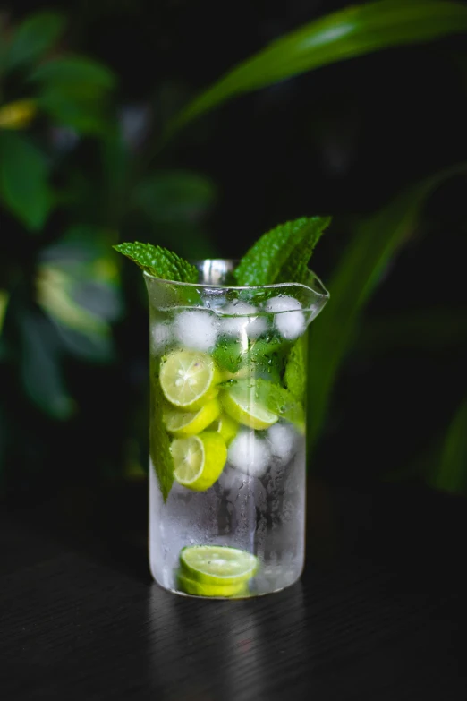 there is a pitcher with lemon slices and water