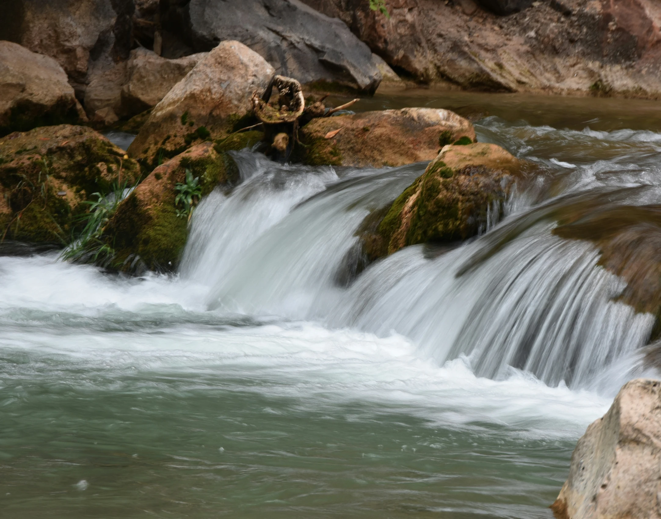 the water has many small rocks in it