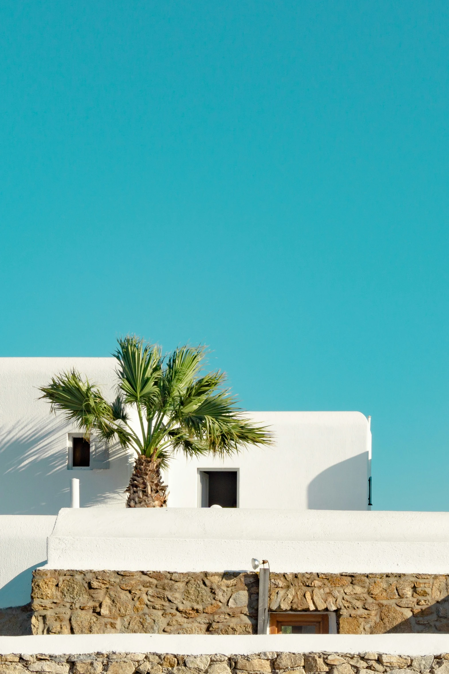 an abstract pograph of a white building and palm tree