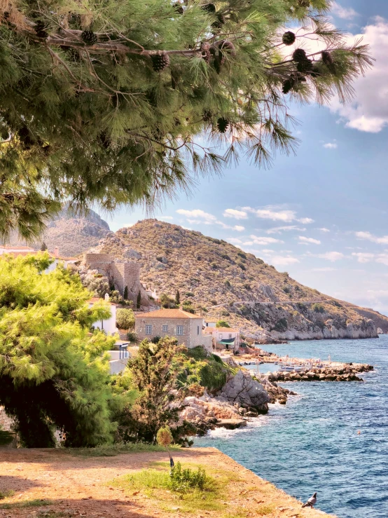 the shoreline of a lake with pine trees and houses on the shore