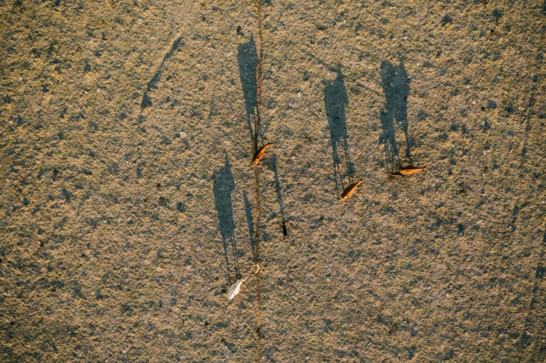 a picture of someone standing on a beach, holding some scissors