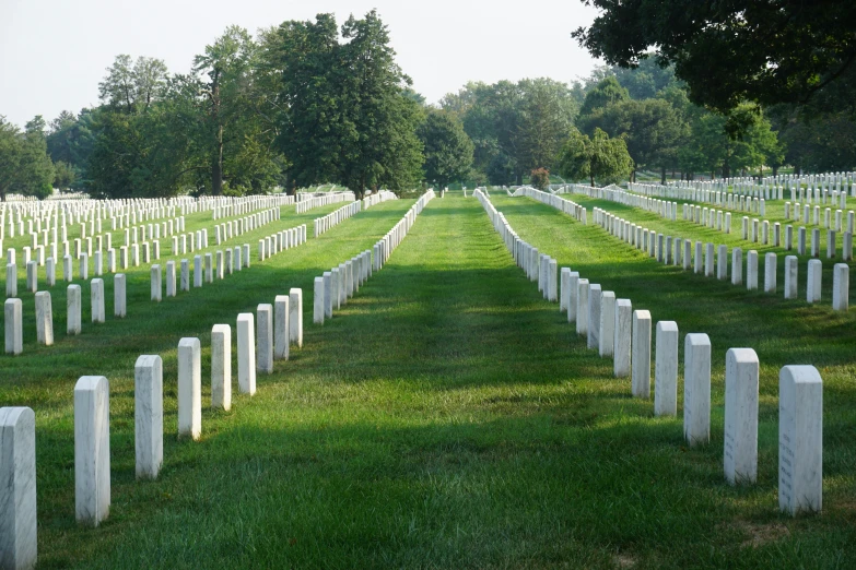 a grassy cemetery field with rows of headstones