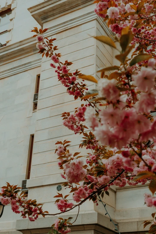 a building is shown with many flowers on it