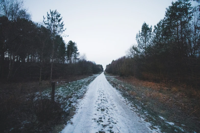 the path through the woods has a lot of snow