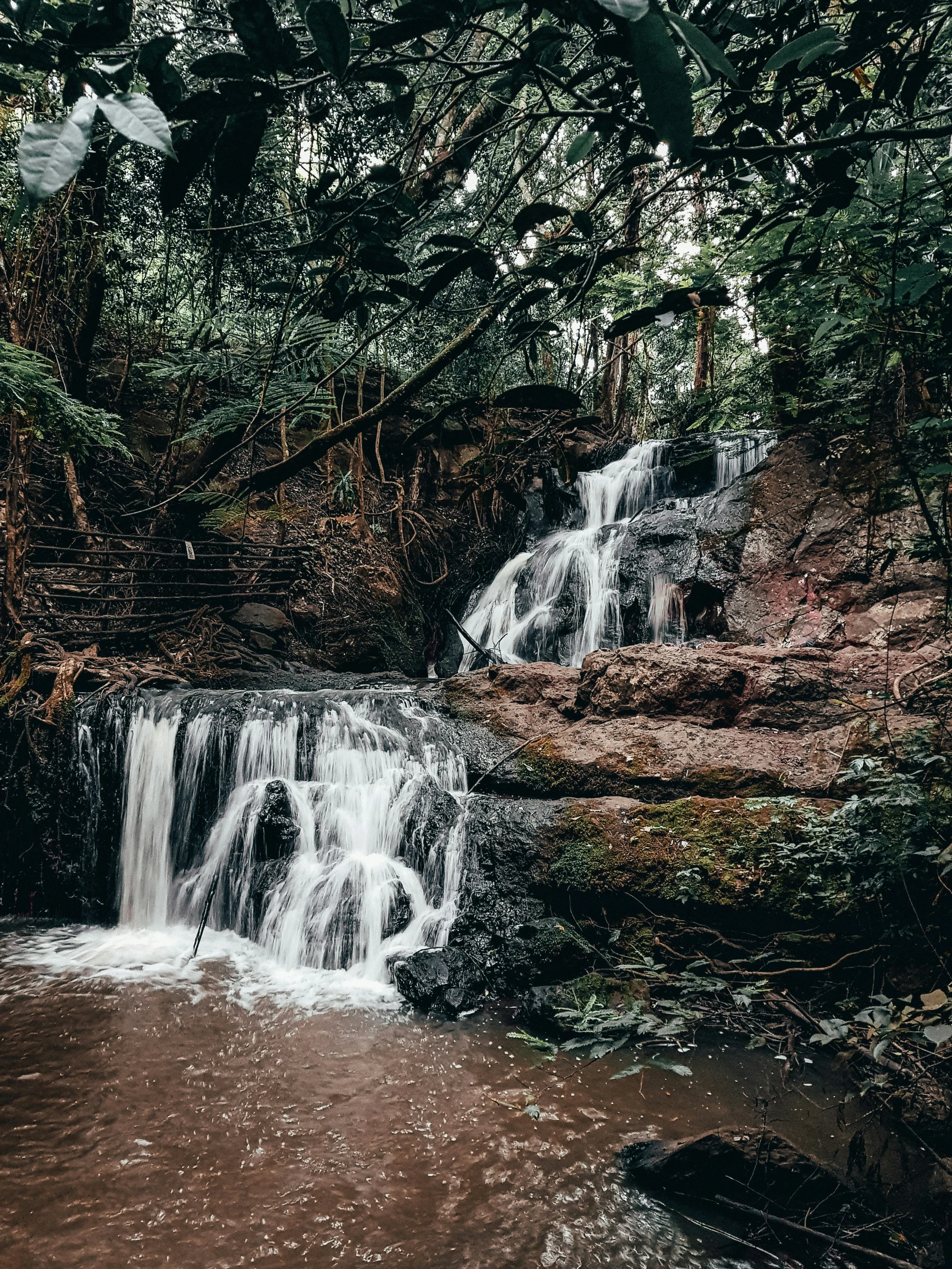 two small waterfalls in a dark forest