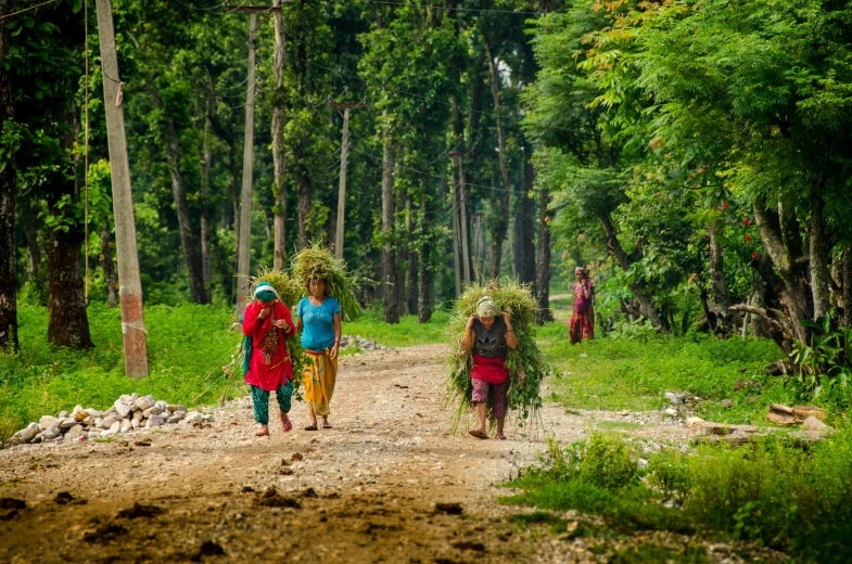 three people carrying plants walking down a dirt road