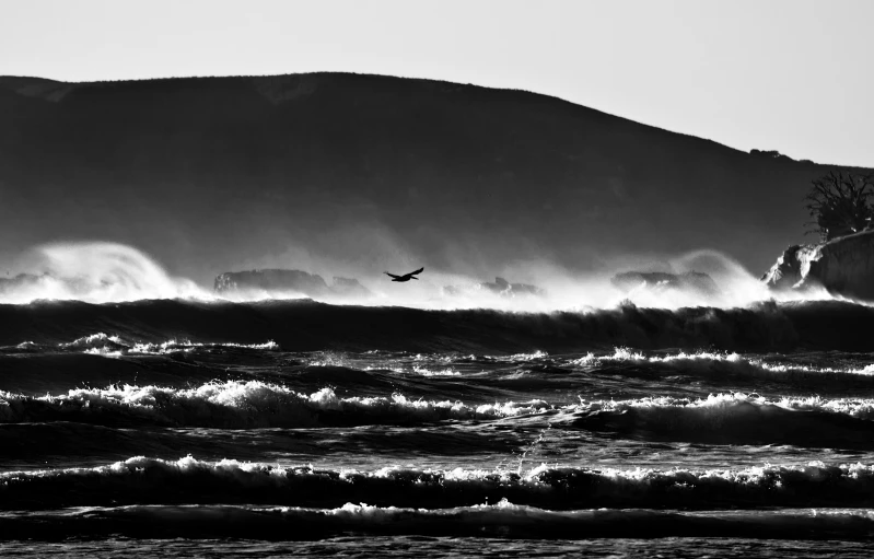 black and white image of bird flying over large waves