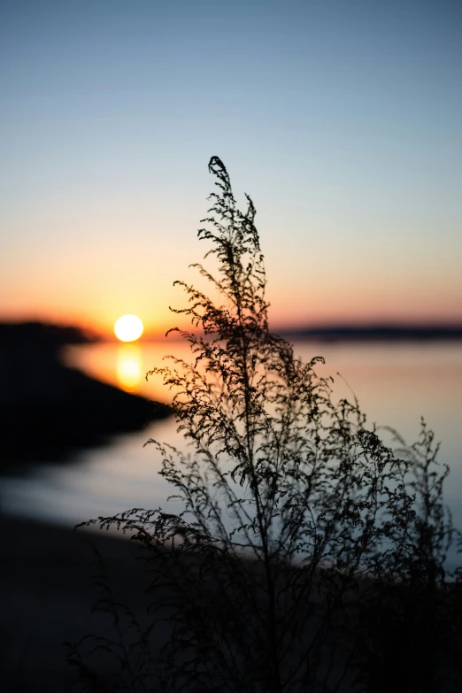 a po with the sun setting over a body of water