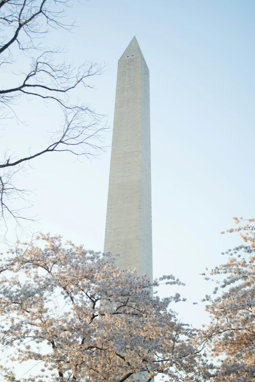 a large tower near some trees and bushes