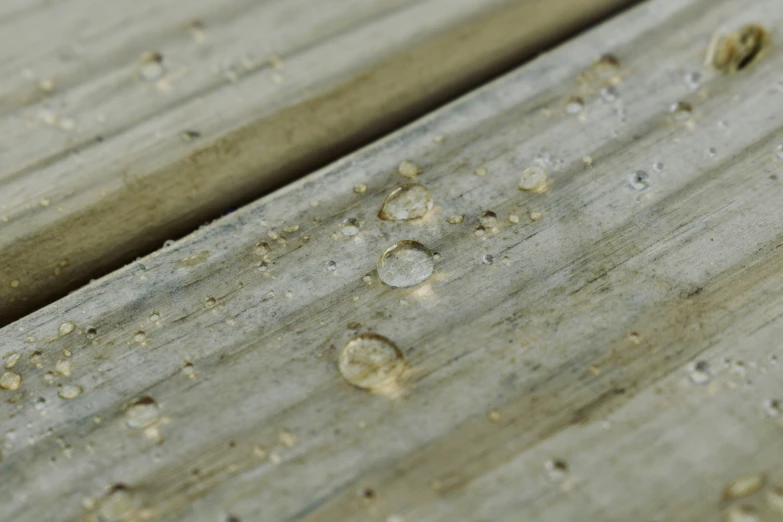 water drops are sitting on the wooden surface